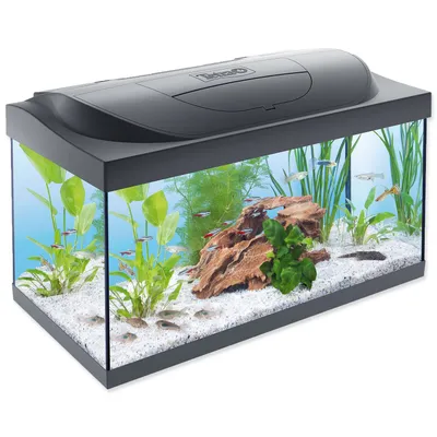 Image de Tetra aquarium starter Led 54 litres 60 x 30 x 30 cm