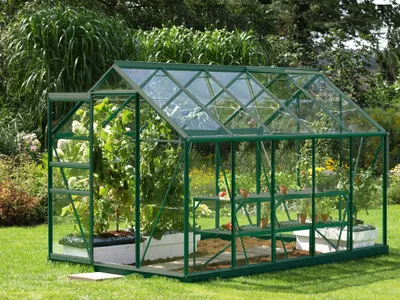 Produktbild von Vitavia  Gewächshaus Venus 6200 ESG 3mm, grün, 261105
