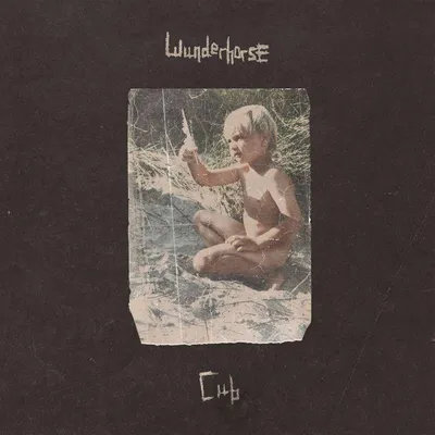 Produktbild von Wunderhorse: Wunderhorse - Cub (Black Vinyl) - - (LP / C)