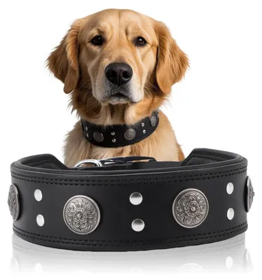 Produktbild von Handgefertigter Hundehalsband aus Leder