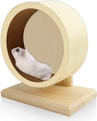 Image de Roue en bois de 15 cm, silencieuse, pour hamsters nains