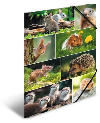 Zdjęcie produktu dla Scrapbook A3 kartonowe gryzonie paczka 3 szt