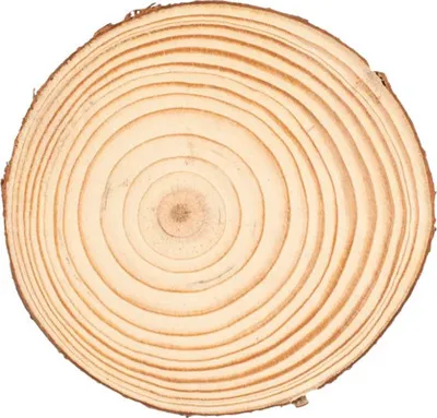 Produktbild von Glorex Holzscheibe Kiefer Ø 10x1 cm zum Basteln und Dekorieren