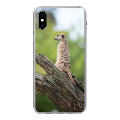 Produktbild von MuchoWow® Handyhülle Schutzhülle Hülle für iPhone Xs Erdmännchen - Ast - Baum Silikon Softcase Handy Hülle - Handytasche