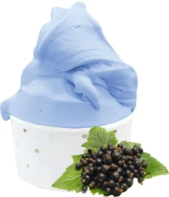 Image de Crème glacée au cassis en poudre 333 g
