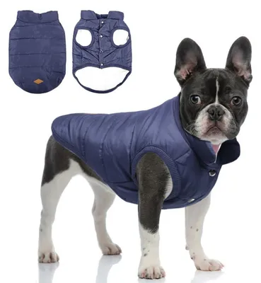 Produktbild von Warme Hundejacke Winter Gefüttert Mantel Blau Größe S