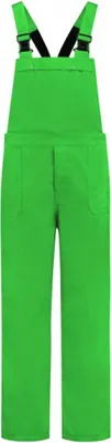 Produktbild von Tuinbroek Overall Grün Volwassene 54