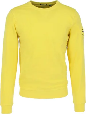 Produktbild von Chiemsee Uni Sweatshirt mit Backprint 22191503