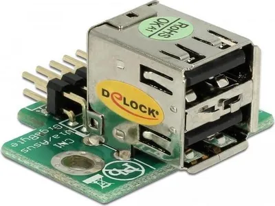 Image de Adaptateur USB Delock - Connecteur USB 10 broches (M)