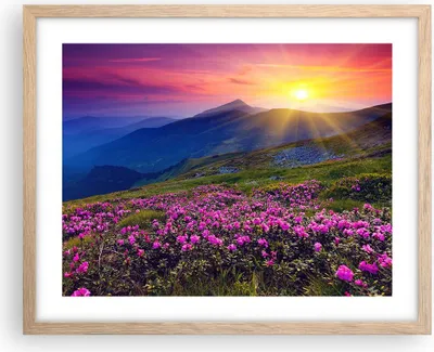 Produktbild von Gerahmtes Poster - Rahmen in heller Eiche - Wiese Berge Landschaft - 50x40 cm - Wand Bild - Wanddeko - Wandbilder - Wandposter - Bilderrahmen - Bilder - Kunstdruck - Wandbild - P2NAA50x40-2676