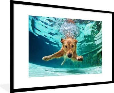 Produktbild von MuchoWow® MuchoWow® Gerahmtes Poster Pool - Hund - Wasser 90x60 cm - Poster mit zchwarzem Bilderrahmen - Wanddekoration - Fotos