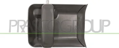 Produktbild von PRASCO PG9048104 Türgriff Hinten Links für CITROËN Berlingo / Berlingo First (MF, GJK, GFK)