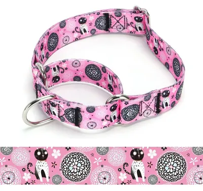 Zdjęcie produktu dla Obroża dla psa typu Martingale, nylonowa, regulowana, rozmiar M: 36-45 cm, model A85NO1