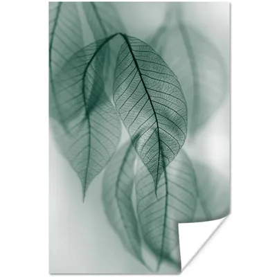 Produktbild von MuchoWow® Poster Blätter - Grün - Natur - Stilleben 40x60 cm - Plakate für die Wand - Poster Babyzimmer