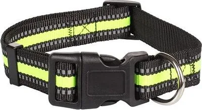 Image de Collier à clic pour chiens vert taille L