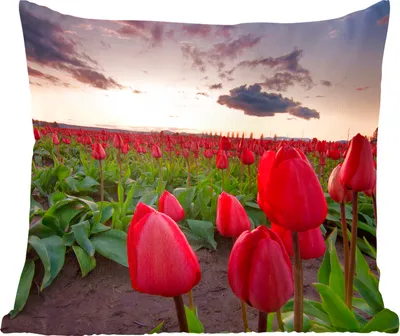 Produktbild von MuchoWow® Zierkissen Sofakissen Wohnzimmer Dekokissen 50x50 cm Rote Tulpen und ein Sonnenuntergang - Komfort - Sofakissen