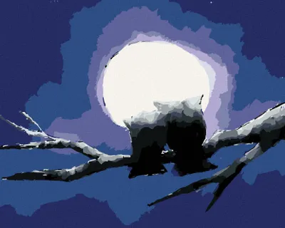 Produktbild von Zuty - Malen nach Zahlen - ZWEI EULEN UND LEUCHTENDER MOND, 40x50 cm, mit Keilrahmen (bereits gespannt)