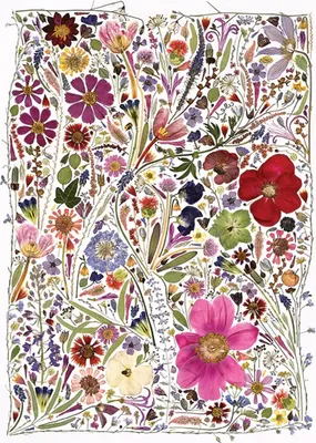Produktbild von Cobble Hill Flower Press: Spring, 1000 Stück(e)