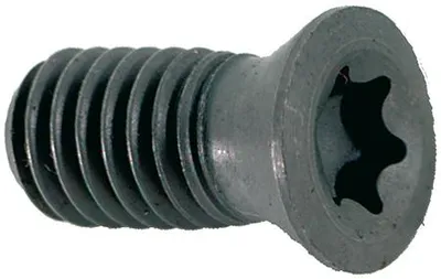 Obrázok produktu pre Skrutka Torx SDMT 12