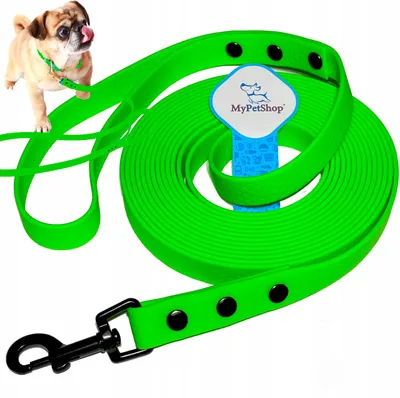 Produktbild von MyPetShop Biothane Hundeleine Trainingsleine Wasserdicht 5m