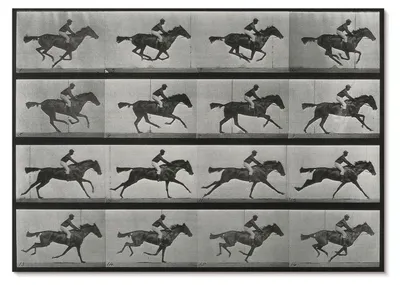 Produktbild von POSTER - 84x59 cm (A1) - Eadweard Muybridge - Galoppierendes Pferd mit Reiter. Fototyp nach Eadweard Muybridge, 1887 -  Wandbild für Wohnzimmer Schlafzimmer & Flur, Modernes Poster Wanddeko, Ungerahmt