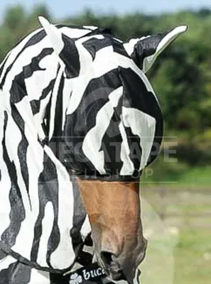 Produktbild von Bucas Buzz-Off Zebra Fly Mask, Fliegenmaske, Farbe:Zebra, Größe:M