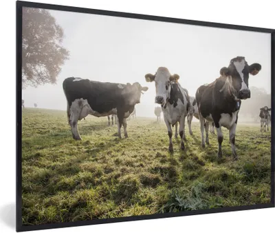 Produktbild von MuchoWow® Gerahmtes Poster Kuh - Gras - Nebel 90x60 cm - Poster mit Schwarzem Bilderrahmen Wandposter Rahmen Foto Bilder - Fotorahmen - Foto-Plakat