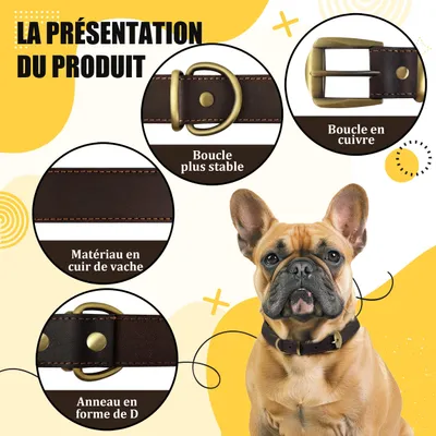 Imagen del producto de Correa de cuero marrón para perros, talla S, con hebilla de metal, ideal para perros pequeños