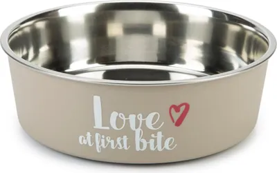 Zdjęcie produktu dla Miska dla psa Beeztees First Bite Grey, rozmiar: 2000 ml