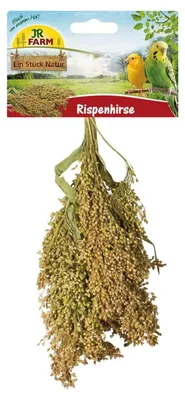 Produktbild von JR Farm Birds Rispenhirse 100 g - 8 Stück