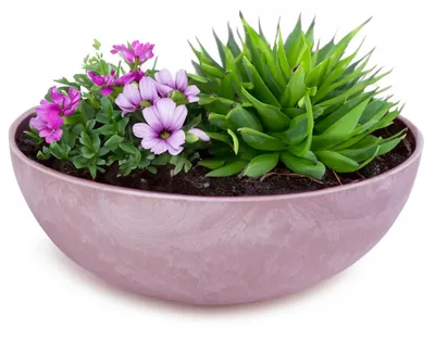 Produktbild von Runde bauchige 20 cm Pflanzschale für draussen, alt-rosa marmoriert