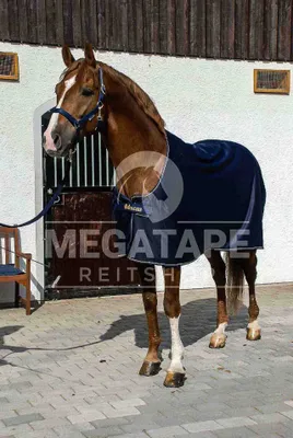 Produktbild von Bucas Abschwitzdecke Prize Cooler Navy/Gold 165