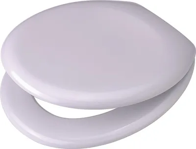 Obrázek produktu pro PAGETTE WC-Sitz Rondo mit Edst.-Bef., Duroplast, weiß