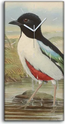 Produktbild von Wandkunst Leinwand Bild Uhr Geräuschlos 30x60 Vögel Wild Tiere Zeichnung Kunst - weiße Hände