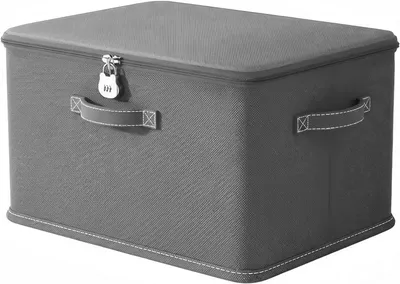 Obrázok produktu pre Úložný box so zámkom 32 x 24 x 18 cm, sivá, na hračky