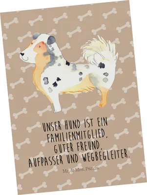 Produktbild von Mr. & Mrs. Panda Postkarte Hund Australien Shepherd - Hundeglück - Geschenk, Sprüche, Familienhund, Grußkarte, Motivkarte, Postkarten, Familie, Ansichtskarten