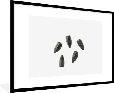 Produktbild von MuchoWow® Gerahmtes Poster Schwarze Sonnenblumenkerne auf weißem Hintergrund 90x60 cm - Poster mit Schwarzem Bilderrahmen Wandposter Rahmen Foto Bilder - Wanddekoration - Fotos