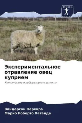 Produktbild von Jexperimental'noe otrawlenie owec kupriem