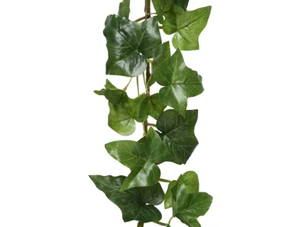 Produktbild von Girlande Efeu Polyester L.13cm W.18cm H.180cm grün
