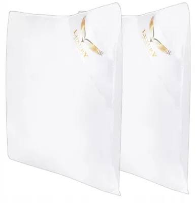 Produktbild von PaemiHome Daunenkissen 40x40 cm 95% Gänsedaunen