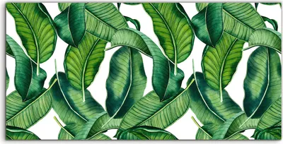 Produktbild von Coloray Canvas 100x50  Wandbild Leinwand Bilder Große Blätter Exotisch Tropische Natur