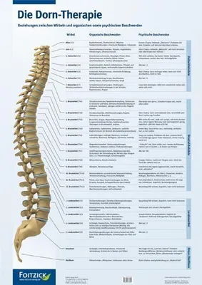 Produktbild von Die Dorn-Therapie. Poster 59,4 x 84 cm