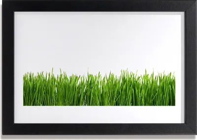 Produktbild von Bild 30x20 MDF-Rahmen Wandkunst Gras Natur Pflanze