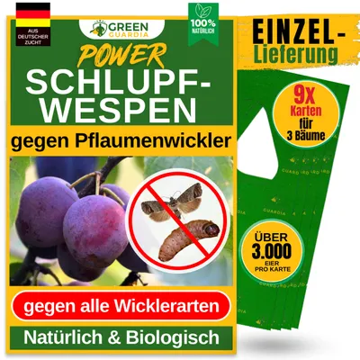 Produktbild von Green Guardia Schlupfwespen gegen Pflaumenwickler -9x Karten 1x Lieferung- Mittel gegen Pflaumenwickler, Chemiefrei Pflaumenwickler bekämpfen
