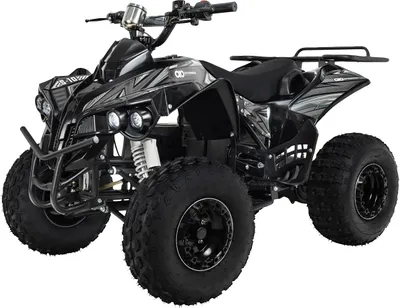 Produktbild von Actionbikes Motors Elektro Kinderquad S-10 - 1000 Watt - Pocketquad (Schwarz/Grau)