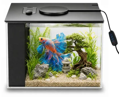 Nano-Aquarium-Set 3,7 l Acryl mit Filter & LED, schwarz