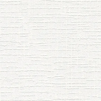 Zdjęcie produktu dla A.S. Création tapeta włókninowa Meistervlies Pro Protect 2, biała, do malowania, 10,05 m x 0,53 m, 250513, 2505-13