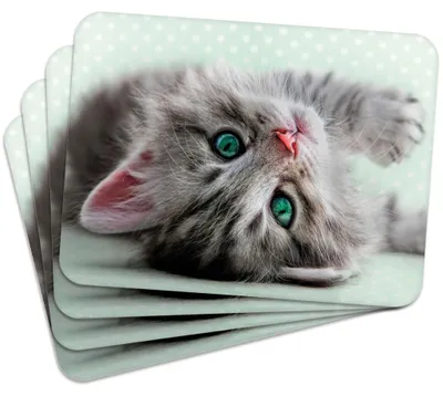 Produktbild von MG Design Set aus 4 Kork-Platzsets - Cat 2 - 30 x 40 cm - hitzebeständig & abwischbar, mit Korkrückseite