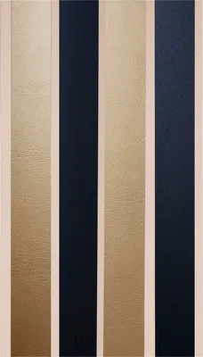 Obrázek produktu pro Závěs do dveří LINTEN HQ zlatá/černá 90x220 cm