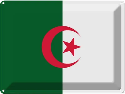 Produktbild von vianmo Blechschild 30x40 cm Algeriens Algeria Flagge Fahne Wappen